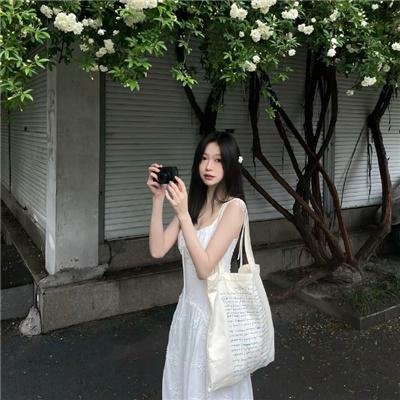 中央公园第二季