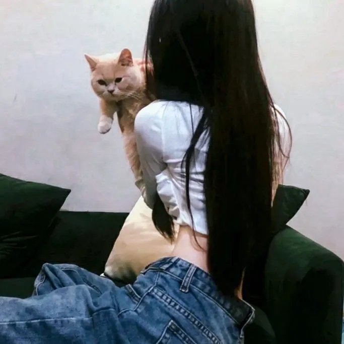 飙速宅男第一季